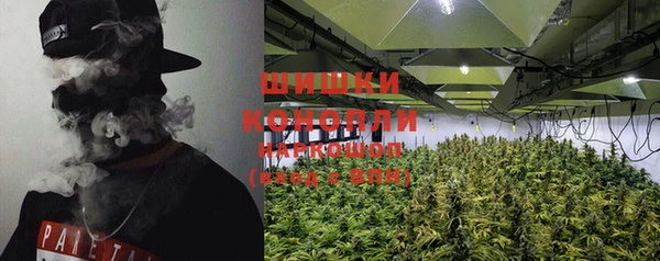 мдпв Вяземский
