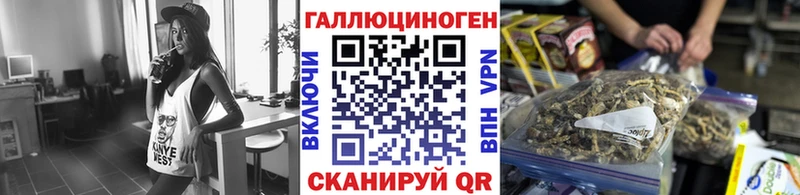 Псилоцибиновые грибы Cubensis Гусь-Хрустальный